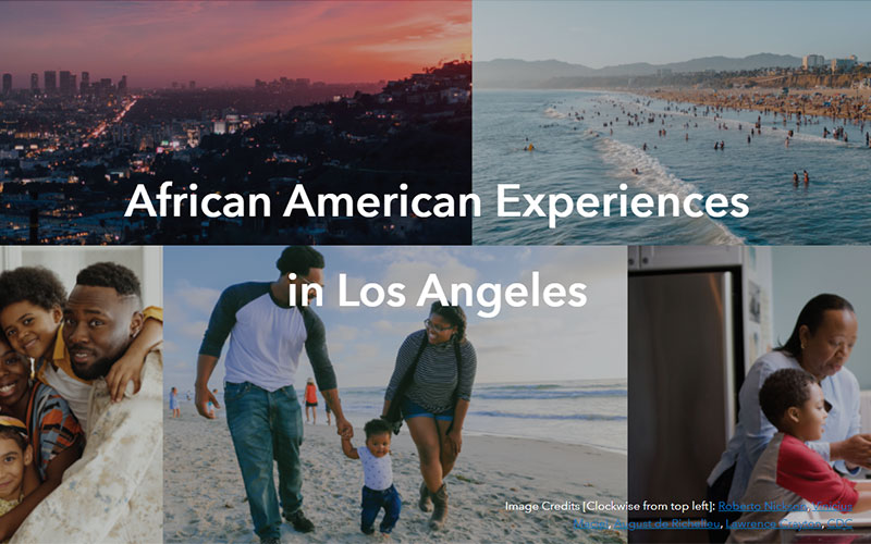 Reparations Survey for the African American Experience in LA