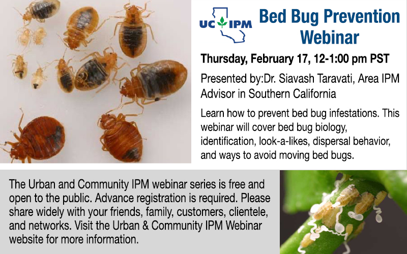 Bed Bug Prevention Webinar, Feb. 17, 2022
